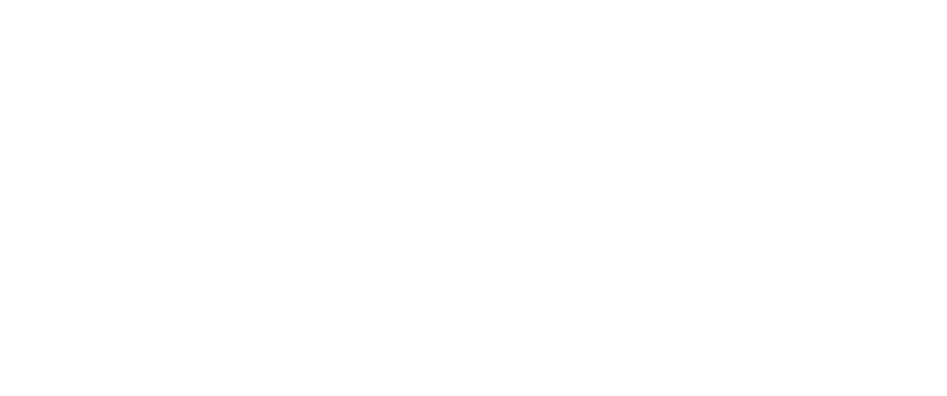 Nosie Logo